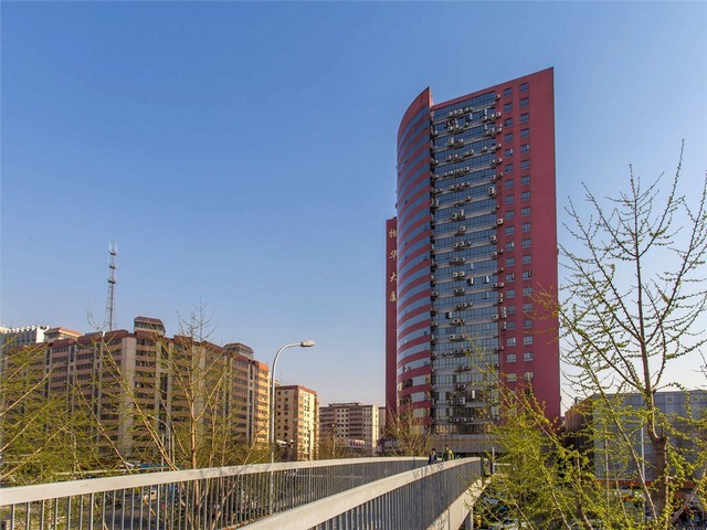 工业输送机生产厂家